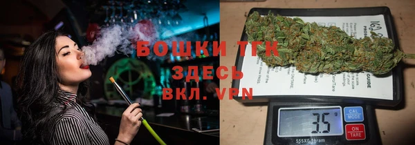 трава Карпинск