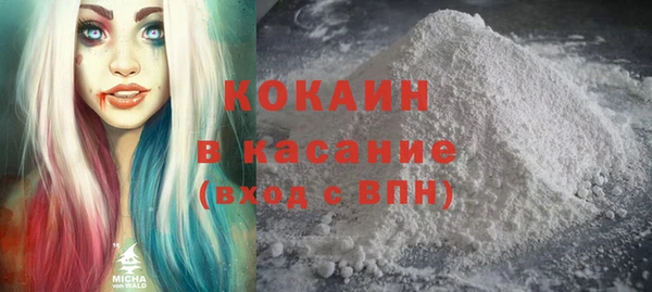 шишки Михайлов