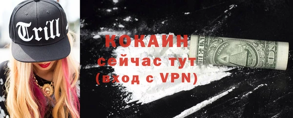 соль ск Абаза