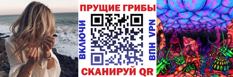 Галлюциногенные грибы ЛСД  hydra ссылки  Новокузнецк 